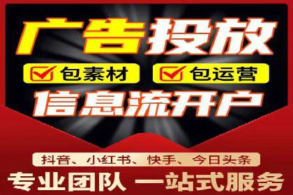 百度广告投放策略与效果评估案例